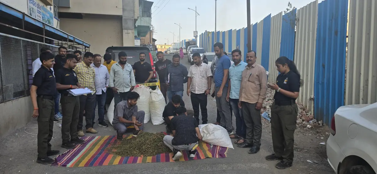 पिंपरी-चिंचवड पोलिसांची धडाकेबाज कारवाई, गांजा तस्करी करणाऱ्या दोघांना बेड्या: ५७ लाखांचा मुद्देमाल जप्त - Chalta Bolata News