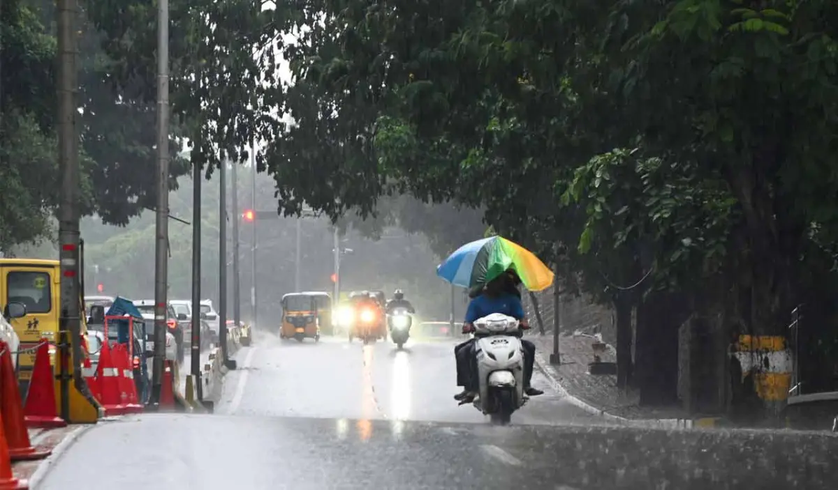 पावसात धोकादायक झाडांबाबत सतर्क राहण्याचे महापालिकेचे नागरिकांना आवाहन;आपत्कालीन परिस्थितीसाठी क्षेत्रनिहाय संपर्क क्रमांक जाहीर&nbsp; - Chalta Bolata News
